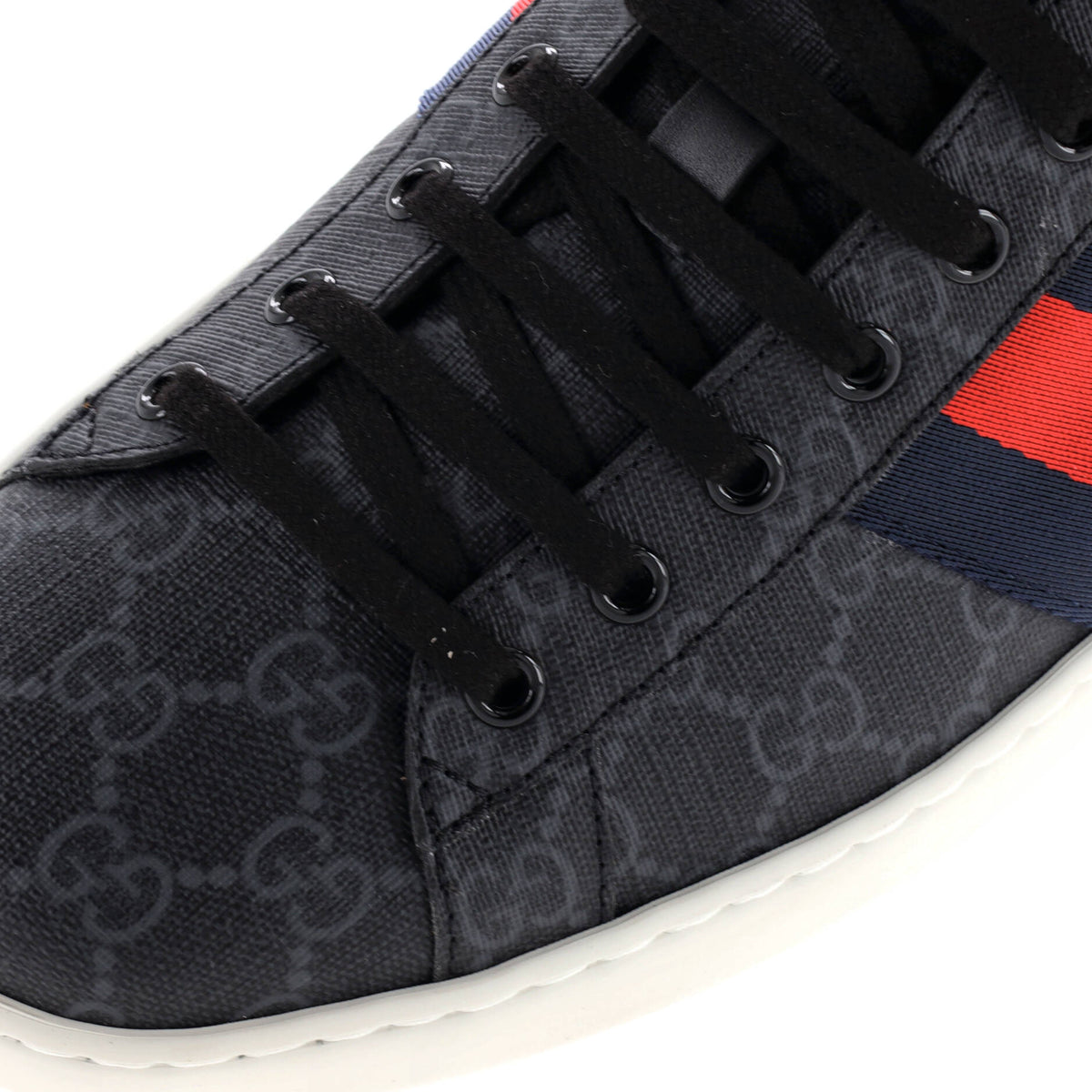 Ace Sneakers GG Coated Canvas