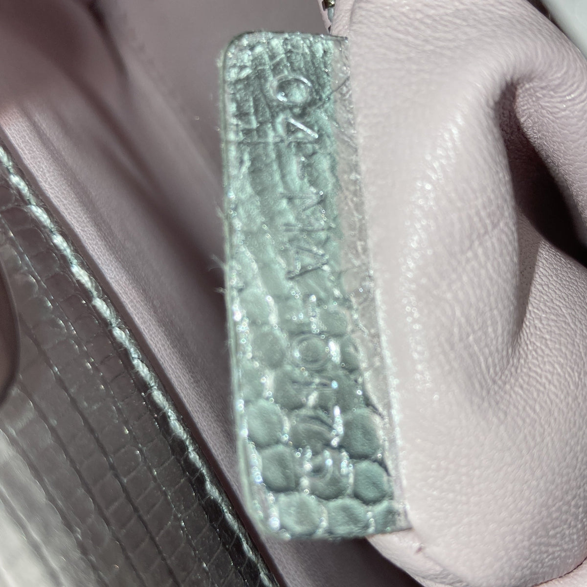 Lady Dior Bag Lizard with Metal Applique Mini