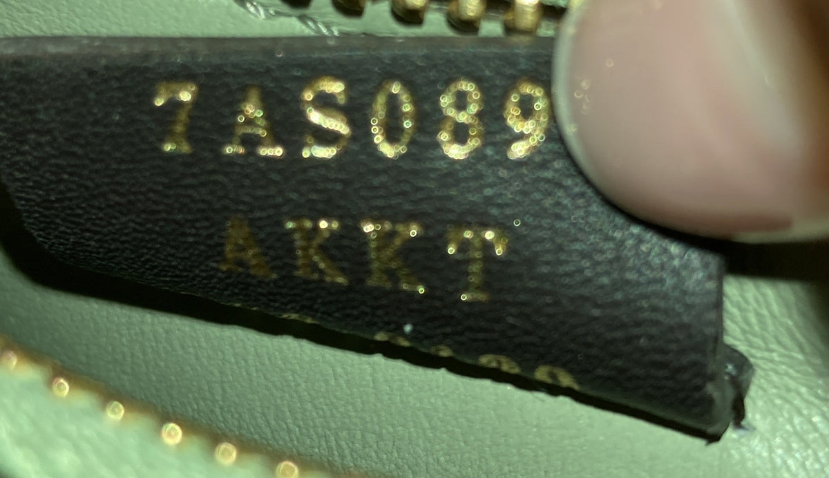 Fendigraphy Bag Leather Nano