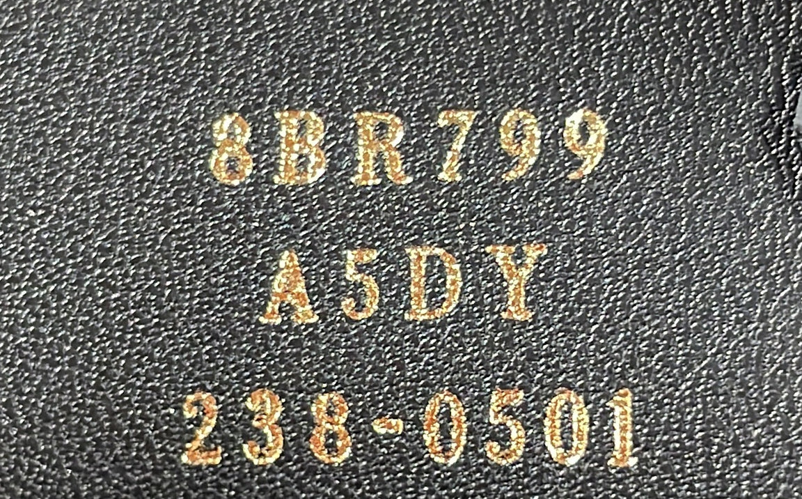 Fendigraphy Bag Leather Small