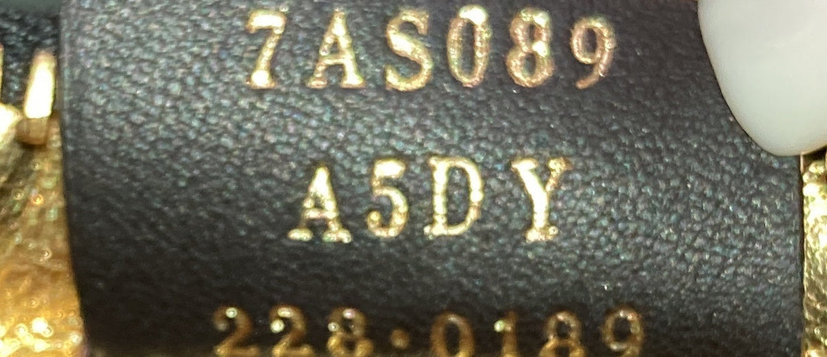 Fendigraphy Bag Leather Nano