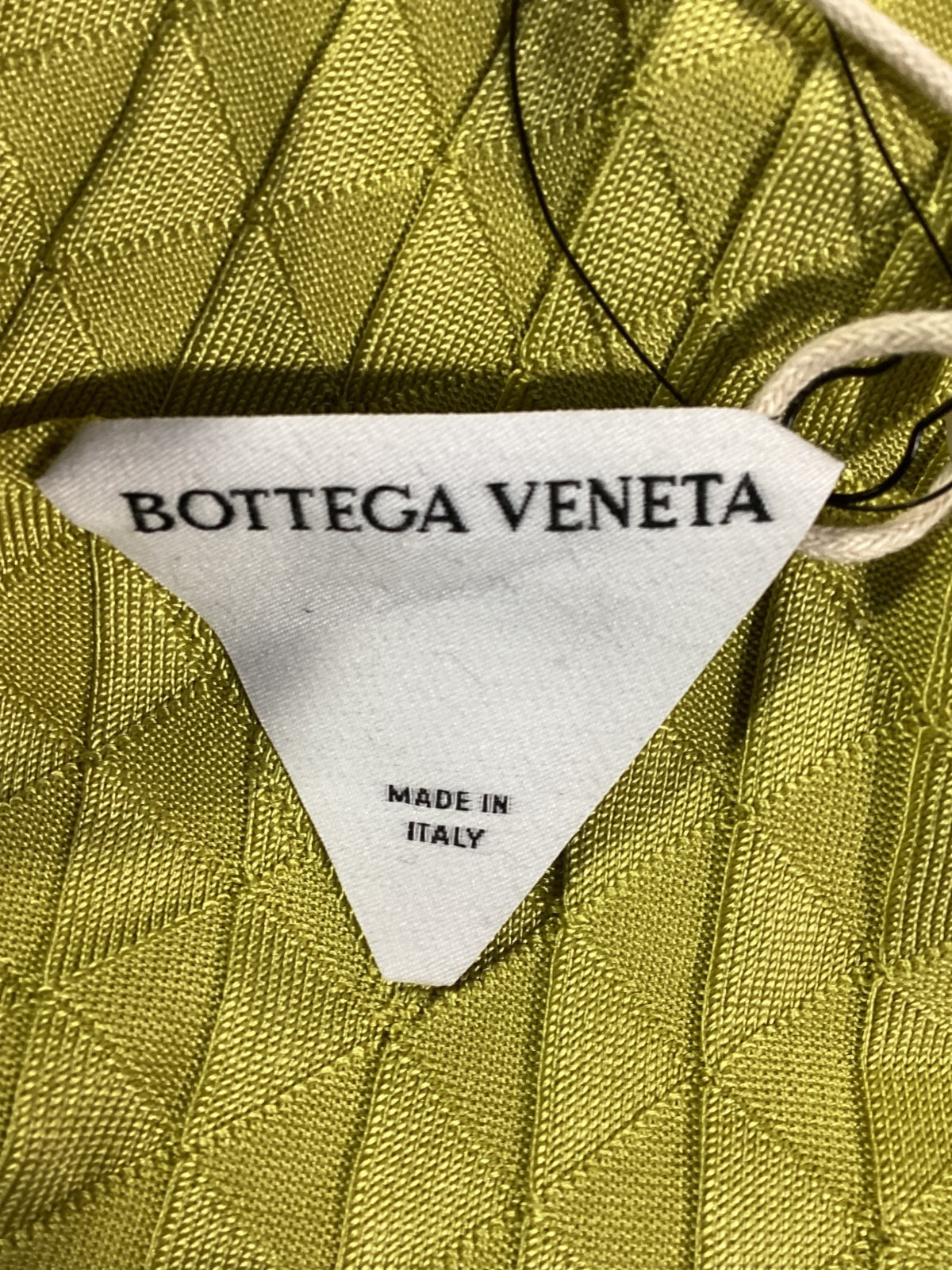 Bottega Veneta Dragon Underpinned Turtleneck Pullover in Green Silk
