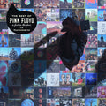 Pink Floyd A Foot In The Door Vinyl LP 2018