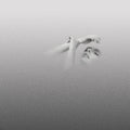 Chelsea Jade - Soft Spot Vinyl LP