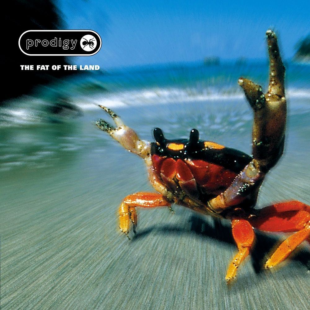 The Prodigy - The Fat Of The Land 2x Vinyl LP Reissue