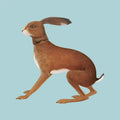 Vashti Bunyan - Lookaftering - Expanded Edition 2x Vinyl LP