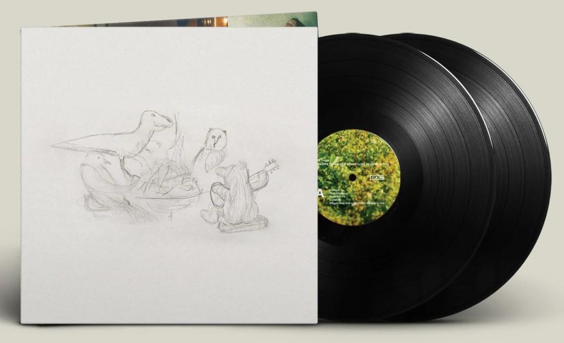 Big Thief - Dragon New Warm Mountain I Believe In You