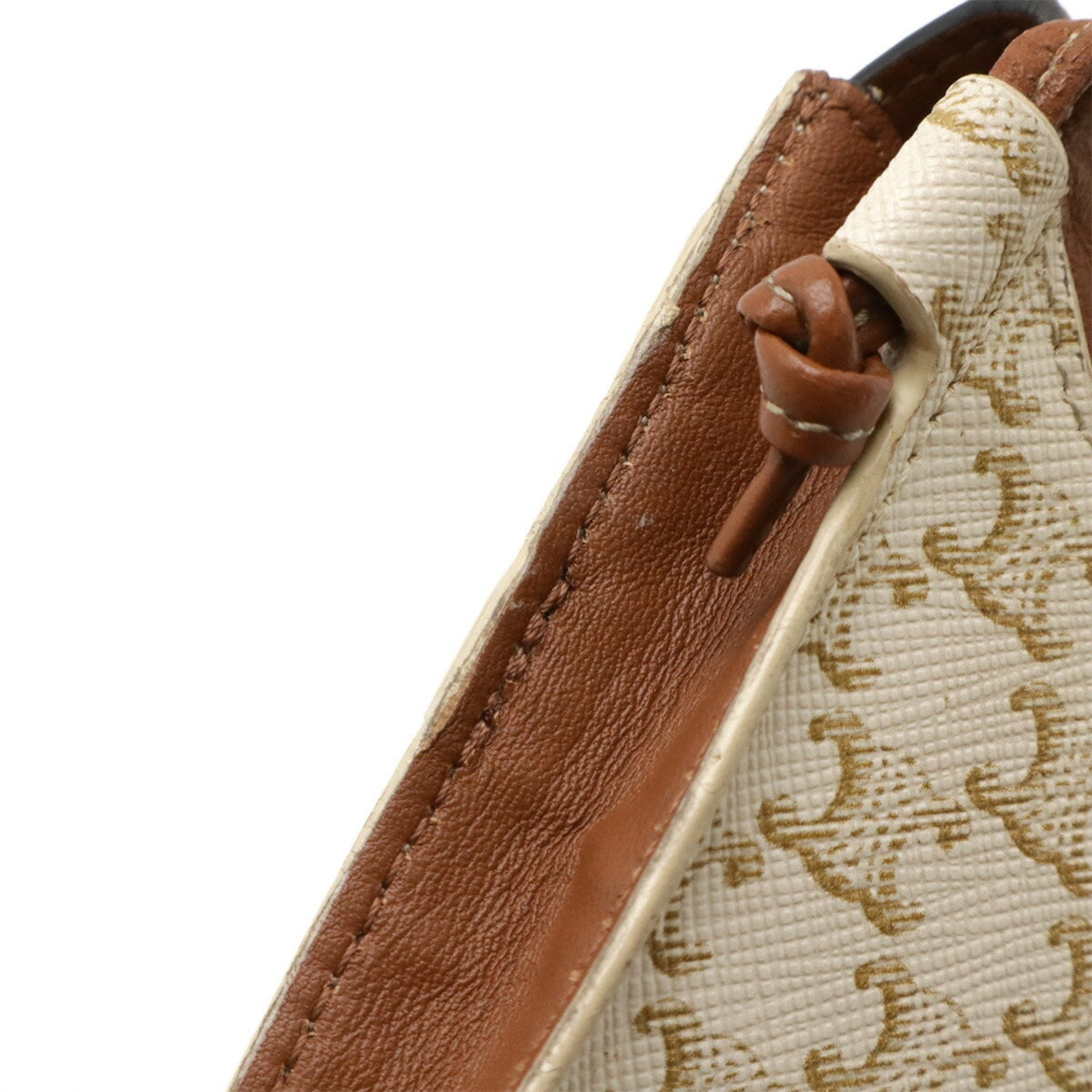 Wallet on Strap Triomphe Coated Canvas
