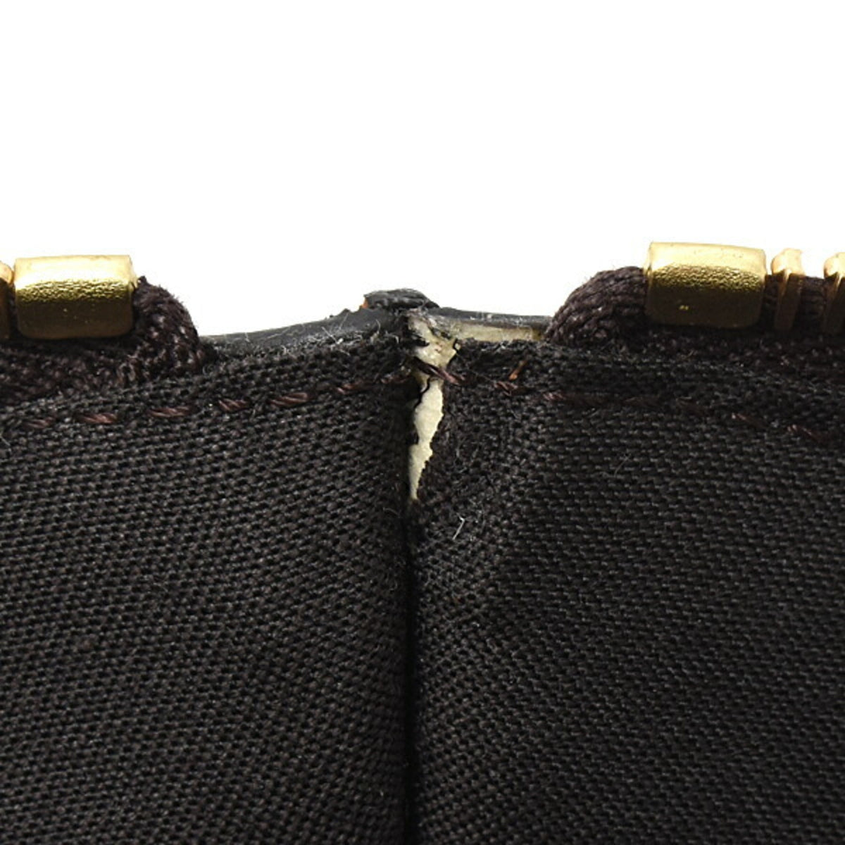 Buckle Strap Hobo Zucca Canvas Large