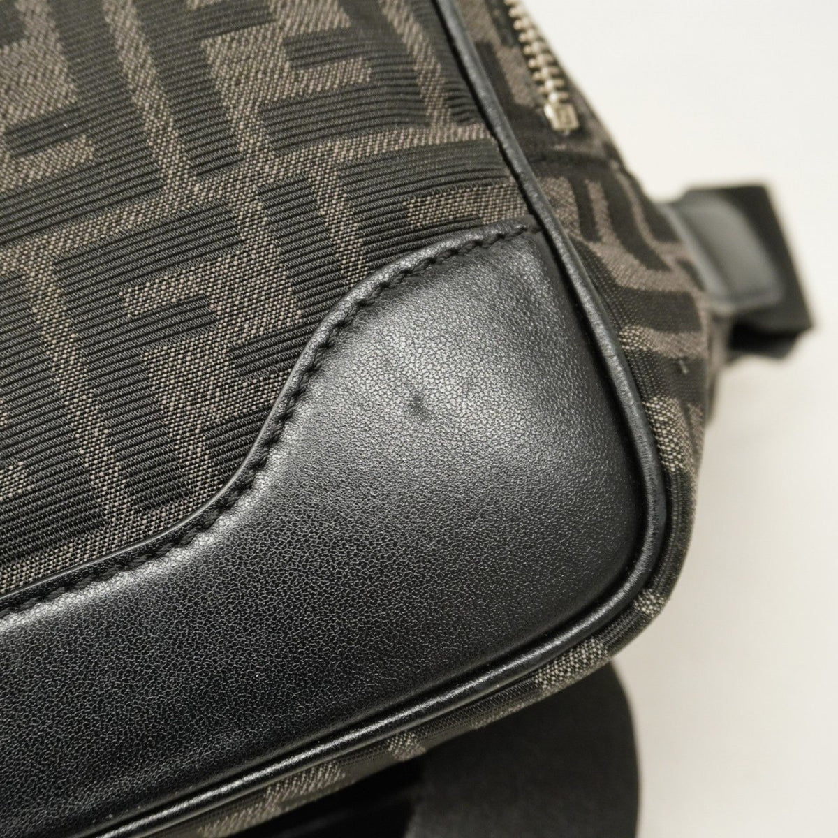 Logo Camera Case Bag Zucca Coated Canvas Medium
