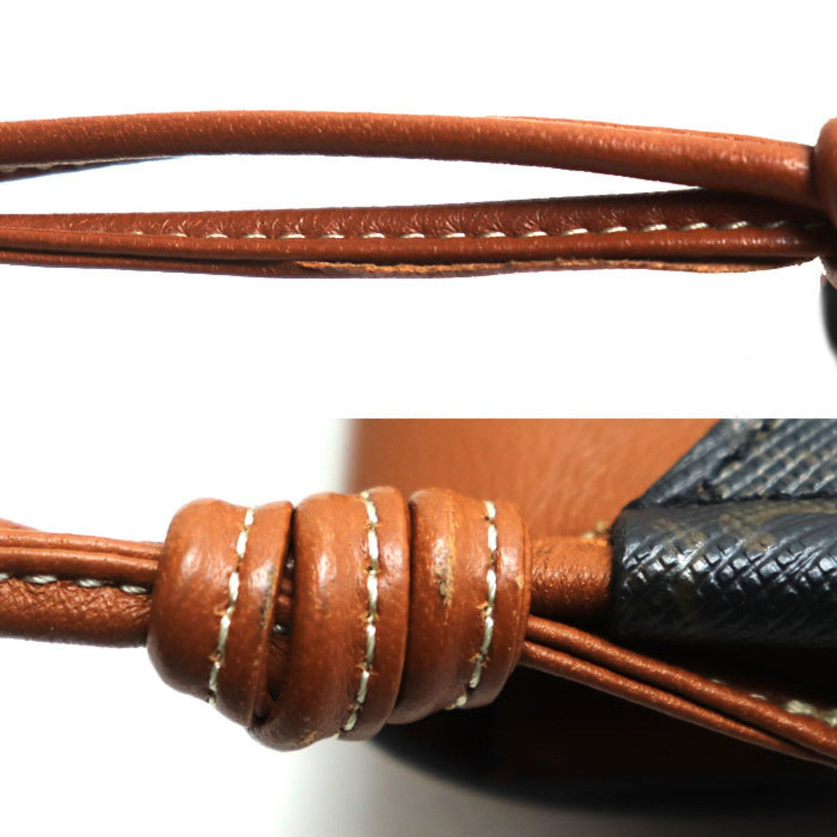 Wallet on Strap Triomphe Coated Canvas