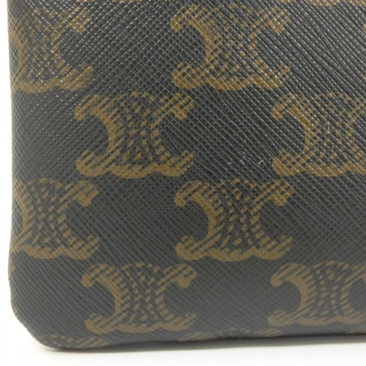 Wallet on Strap Triomphe Coated Canvas