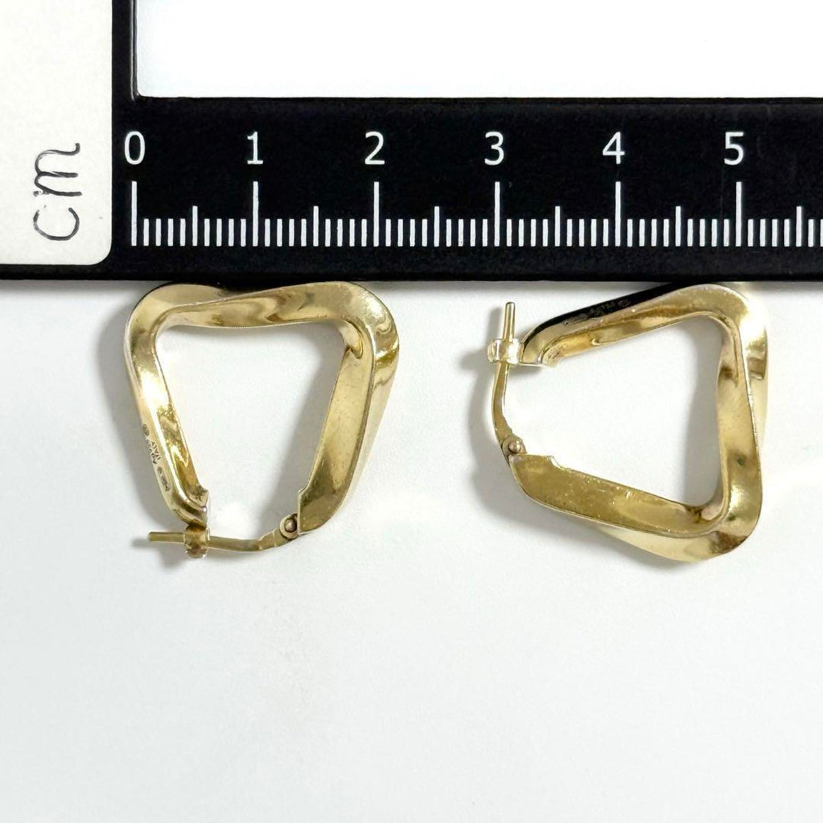 Earrings Hoop Sterling Silver