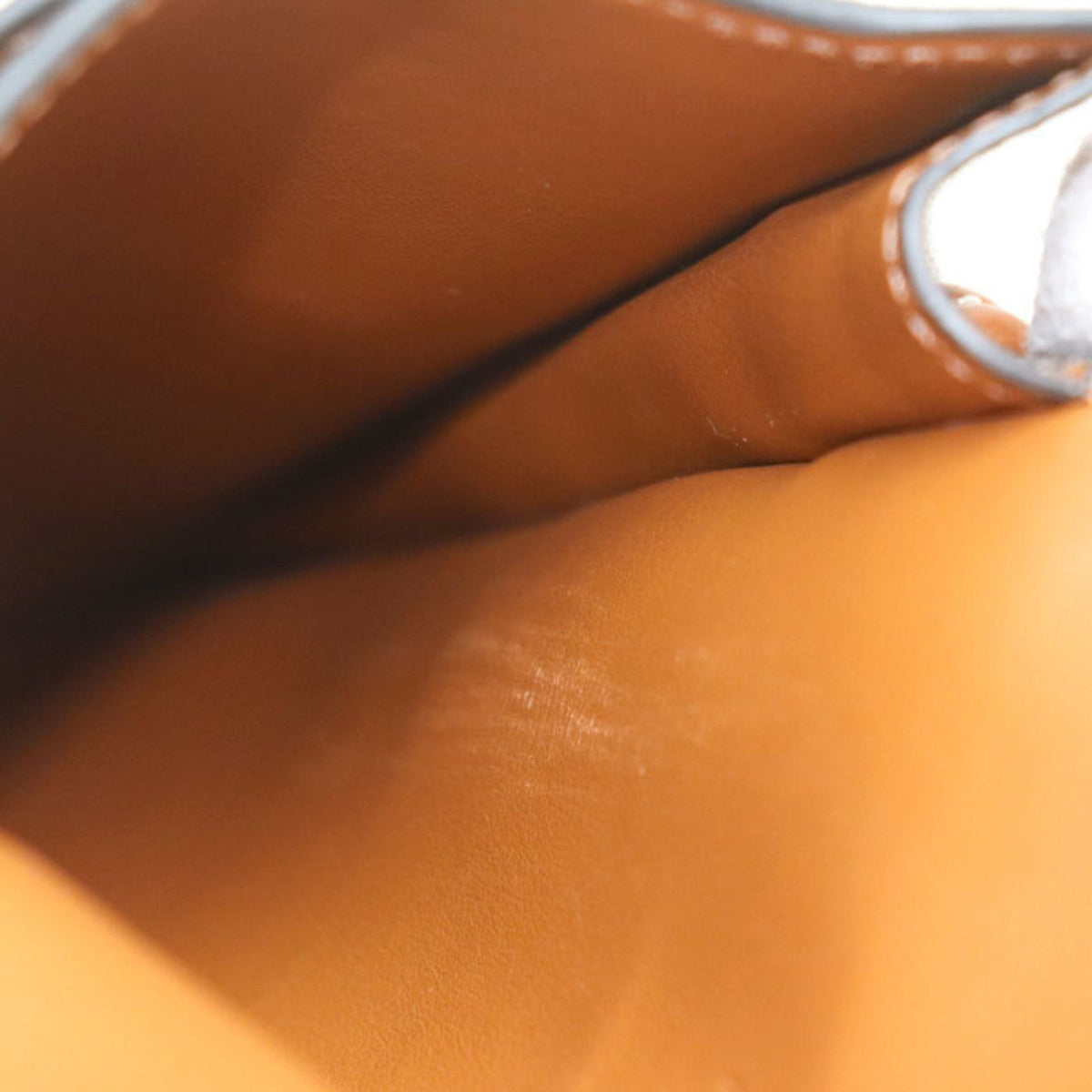 Wallet on Strap Triomphe Coated Canvas