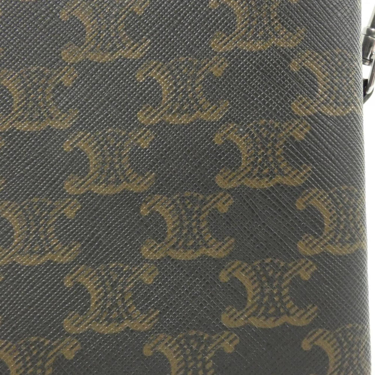 Wallet on Strap Triomphe Coated Canvas
