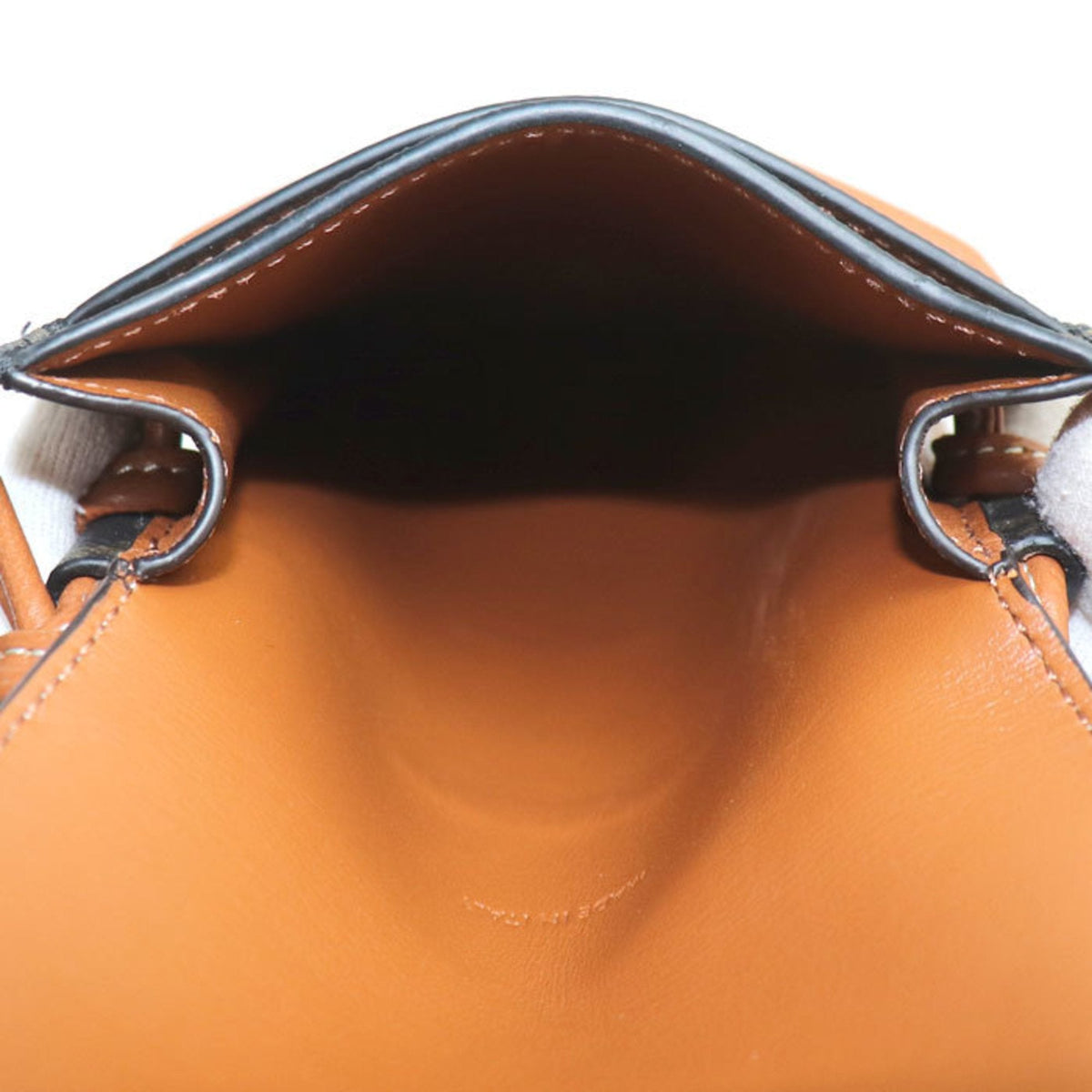 Wallet on Strap Triomphe Coated Canvas