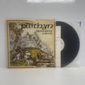 Plethyn - Rhown Garreg Ar Garreg Vinyl LP