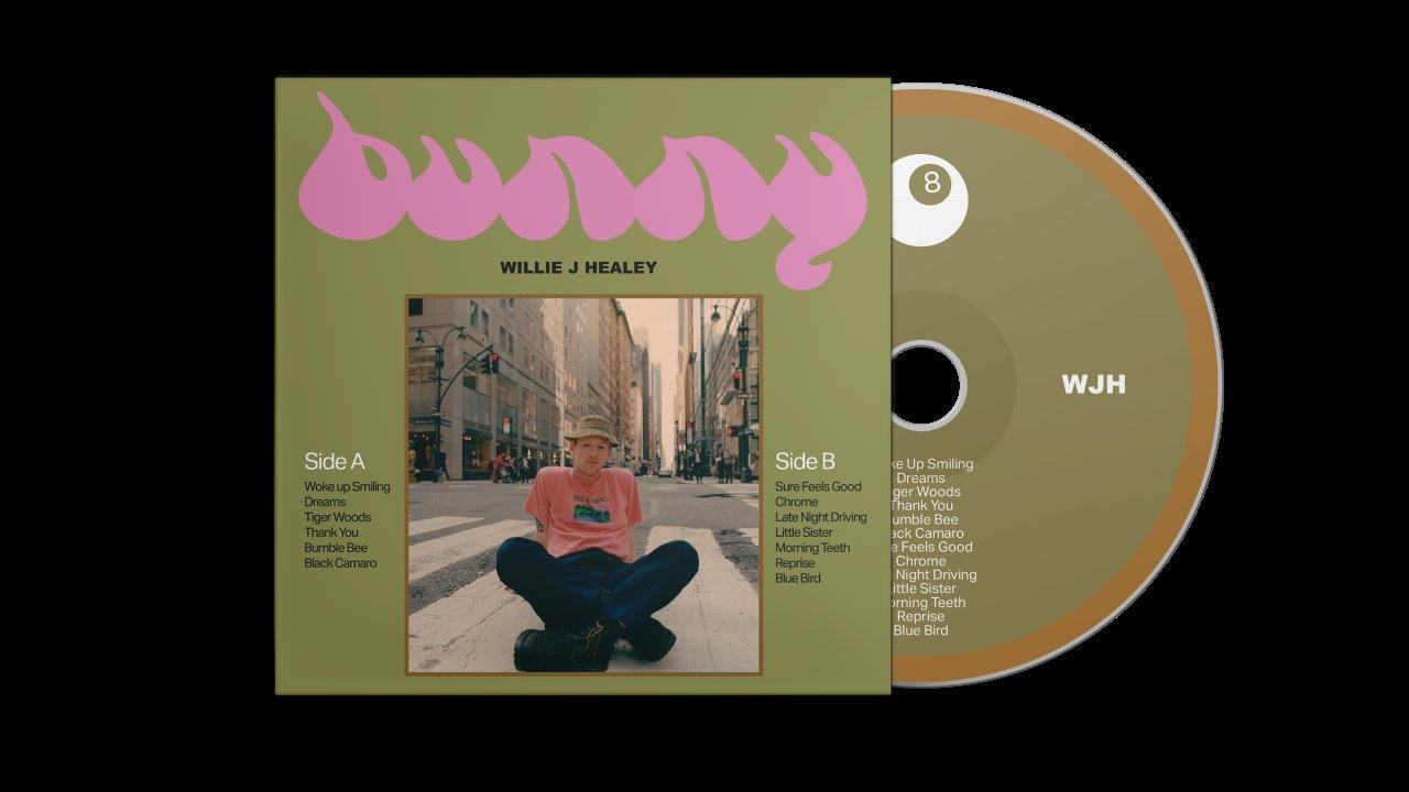 Willie J Healey - Bunny