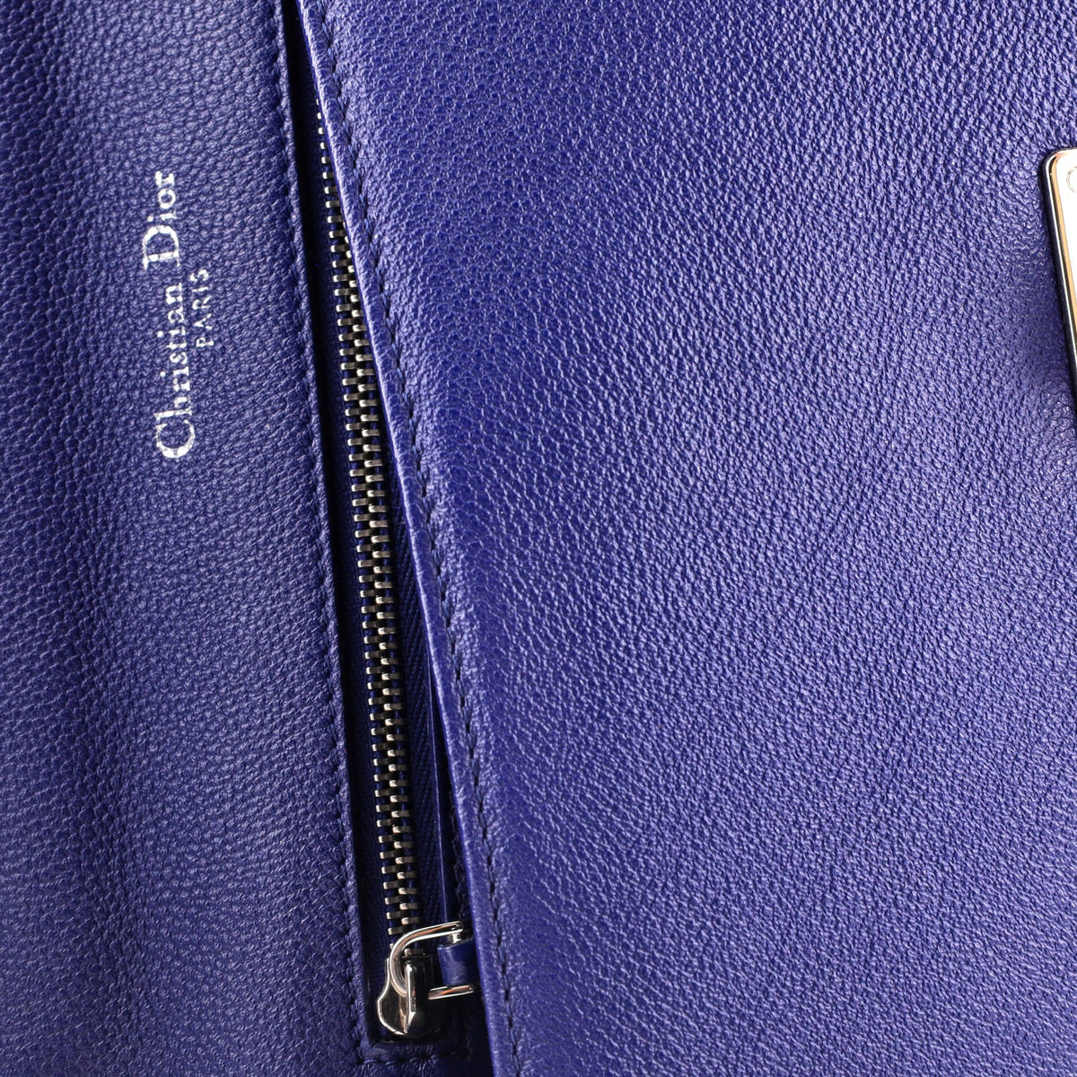 Diorama Flap Bag Grained Calfskin Medium
