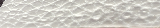 Luggage Bag Grainy Leather Nano