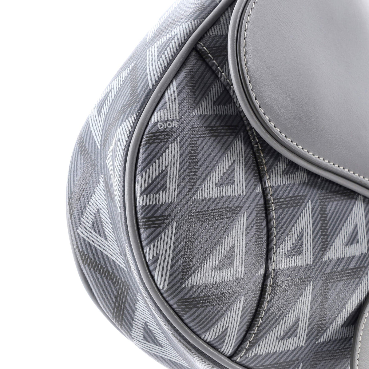 Saddle Crossbody Bag CD Diamond Coated Canvas and Leather