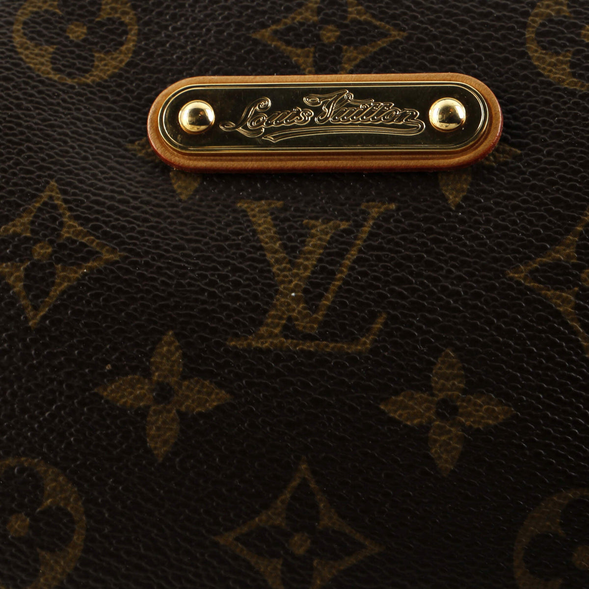 Eva Handbag Monogram Canvas