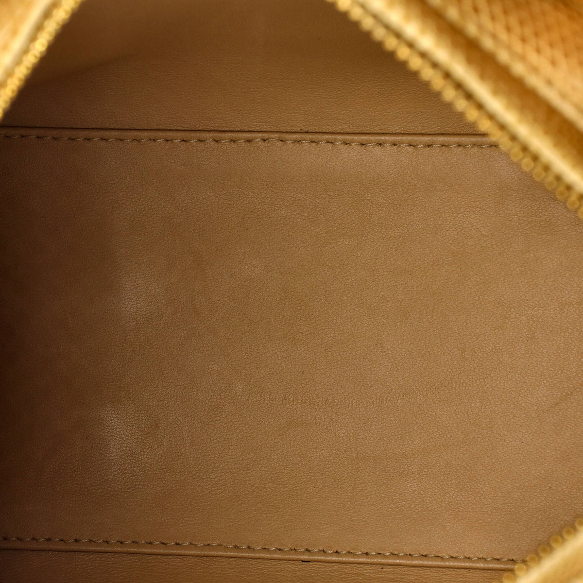 Lady Dior Bag Lizard Medium