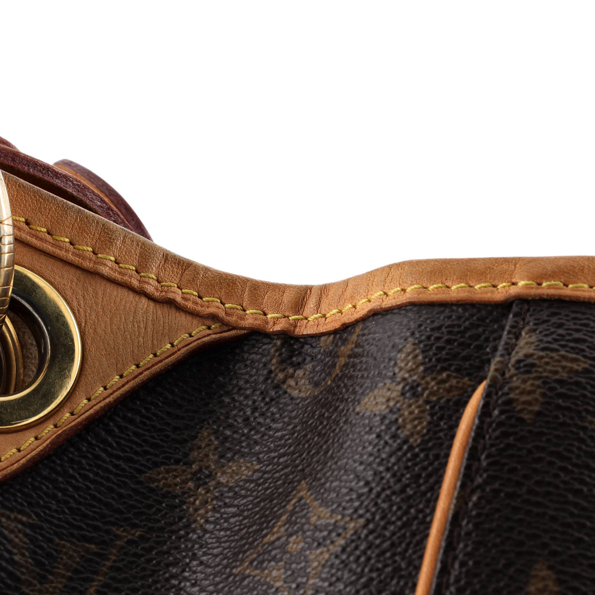 Galliera Handbag Monogram Canvas PM