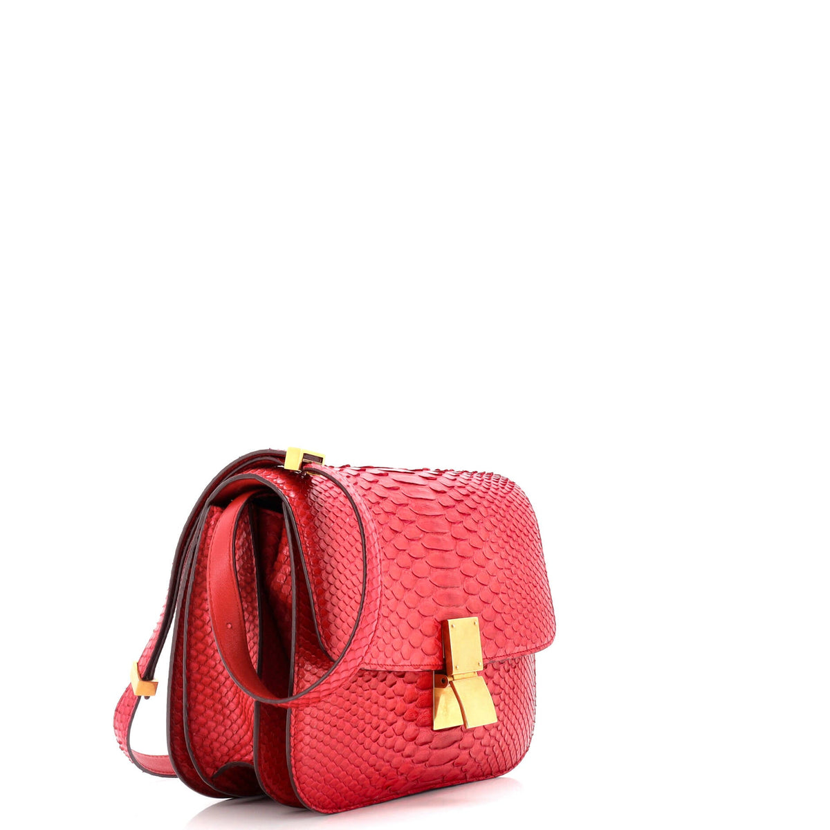 Classic Box Bag Python Medium