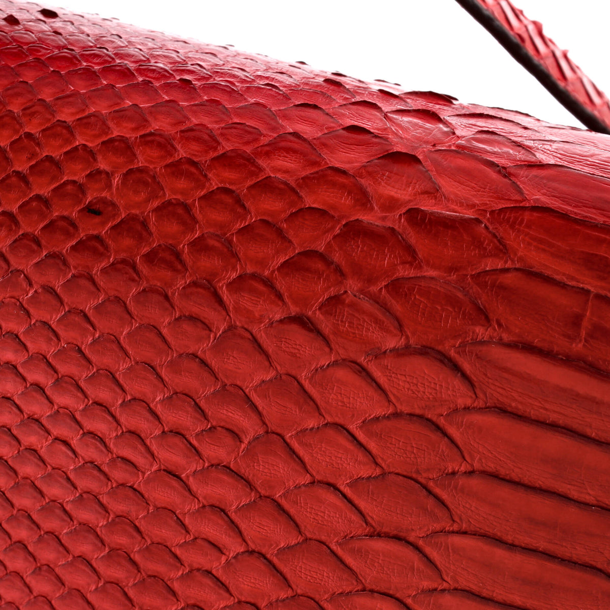 Classic Box Bag Python Medium