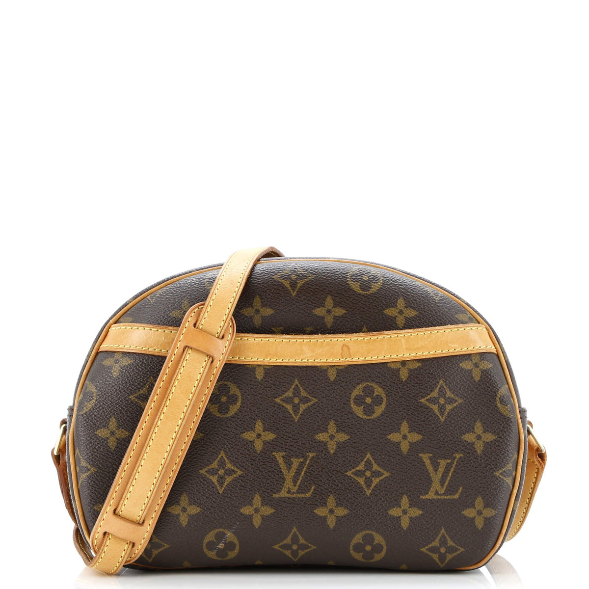 Blois Handbag Monogram Canvas