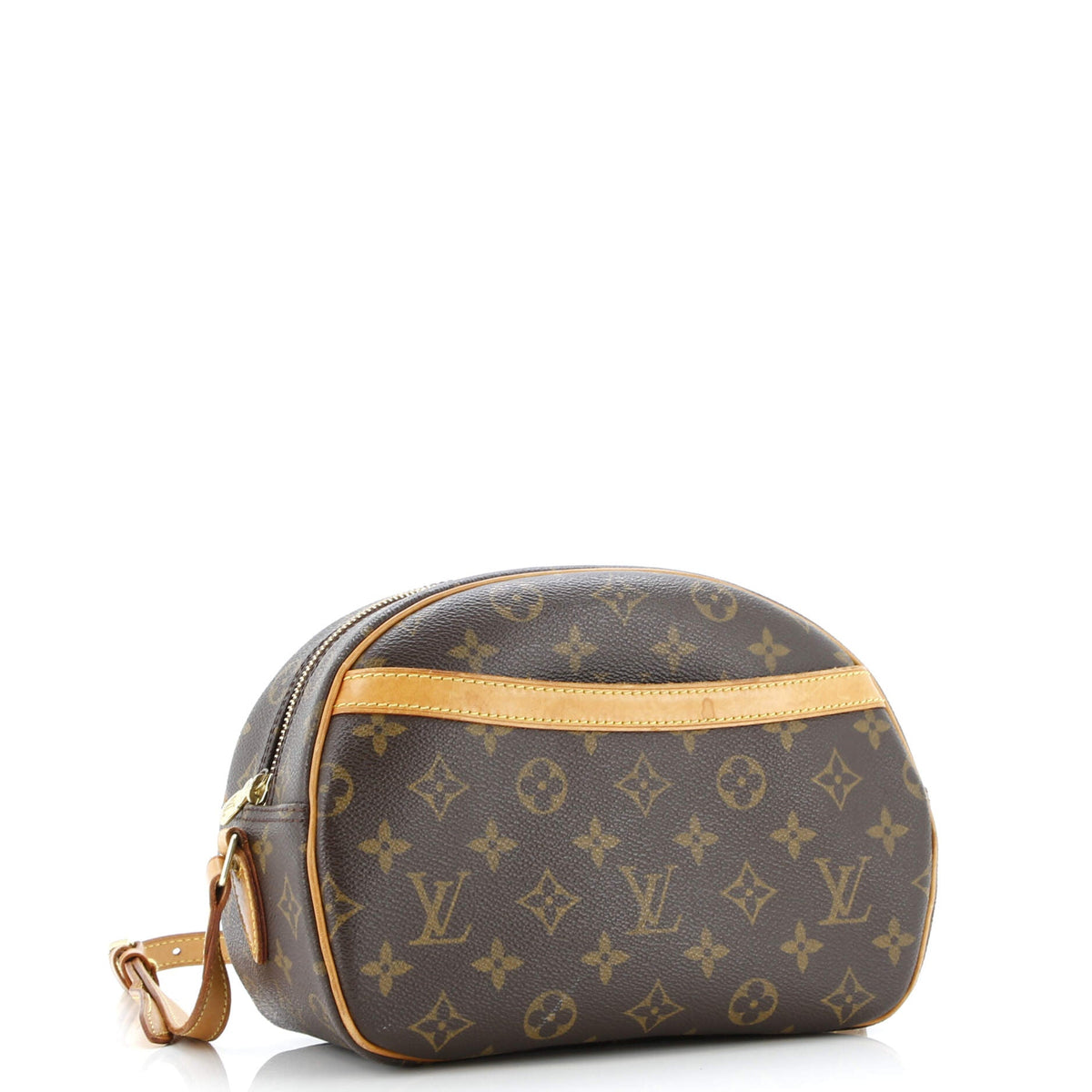 Blois Handbag Monogram Canvas