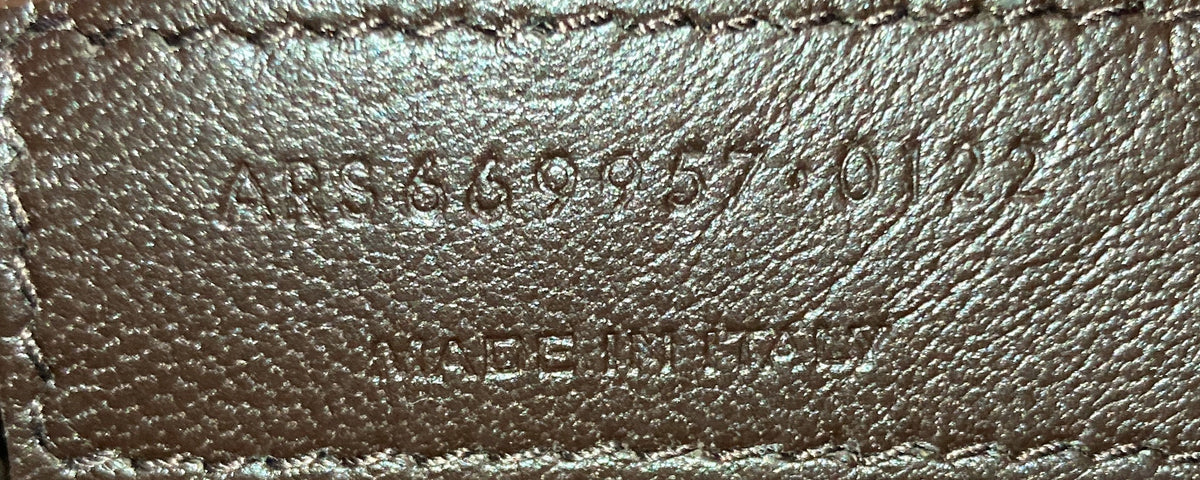 Le Monogramme Camera Bag Monogram All Over Coated Canvas and Leather Small