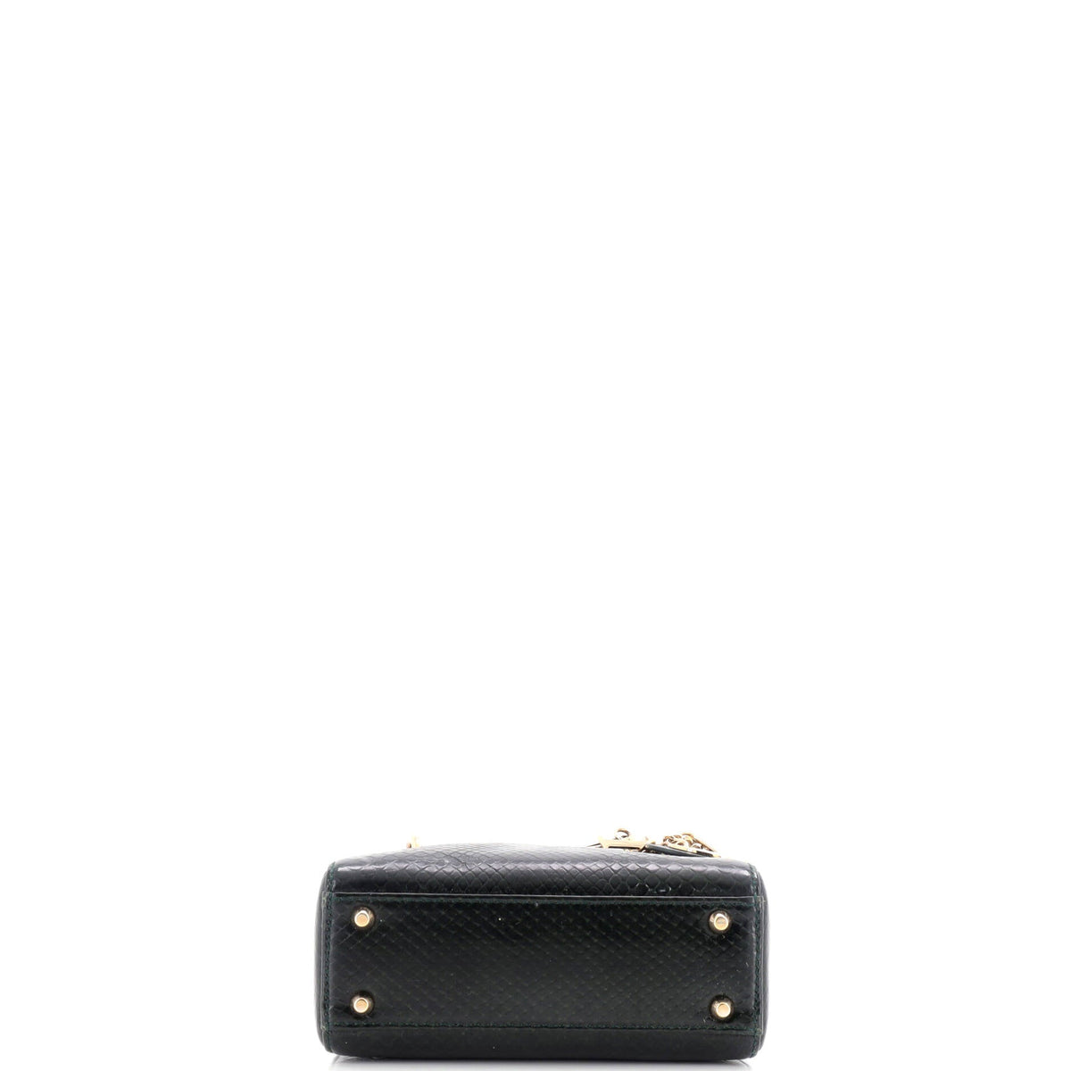 Lady Dior Chain Bag Python Mini