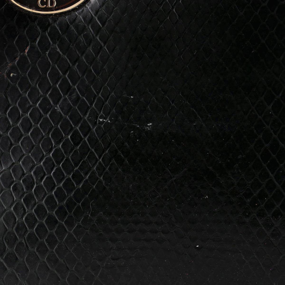 Lady Dior Chain Bag Python Mini