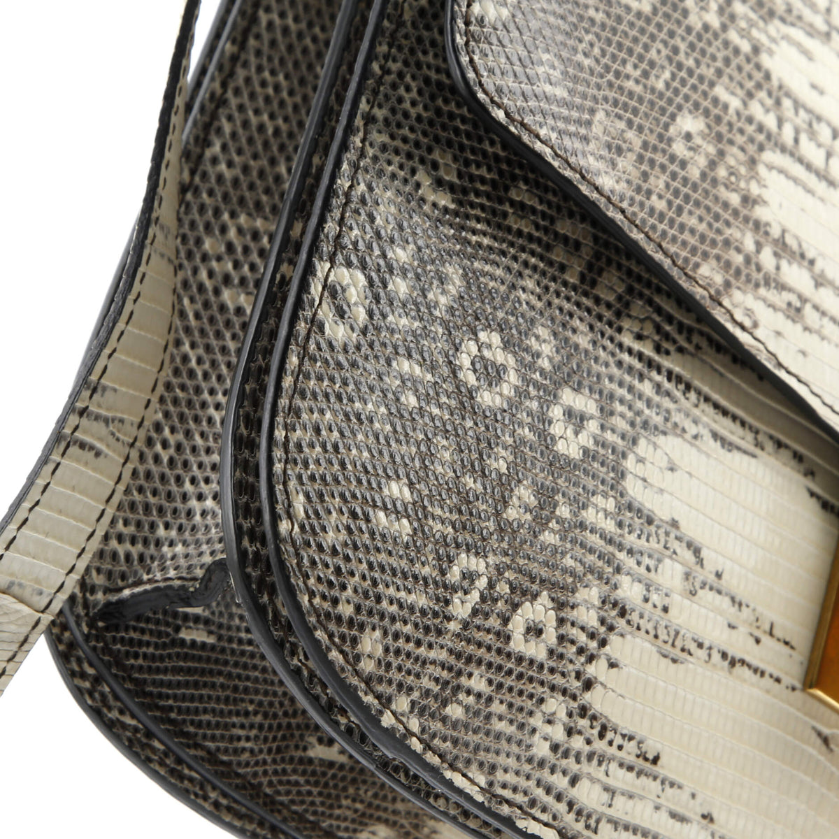 Classic Box Bag Lizard Medium