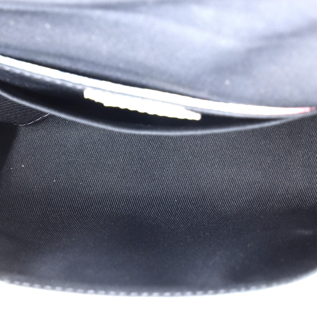 Trunk Messenger Bag Limited Edition Monogram Pastel Multicolor