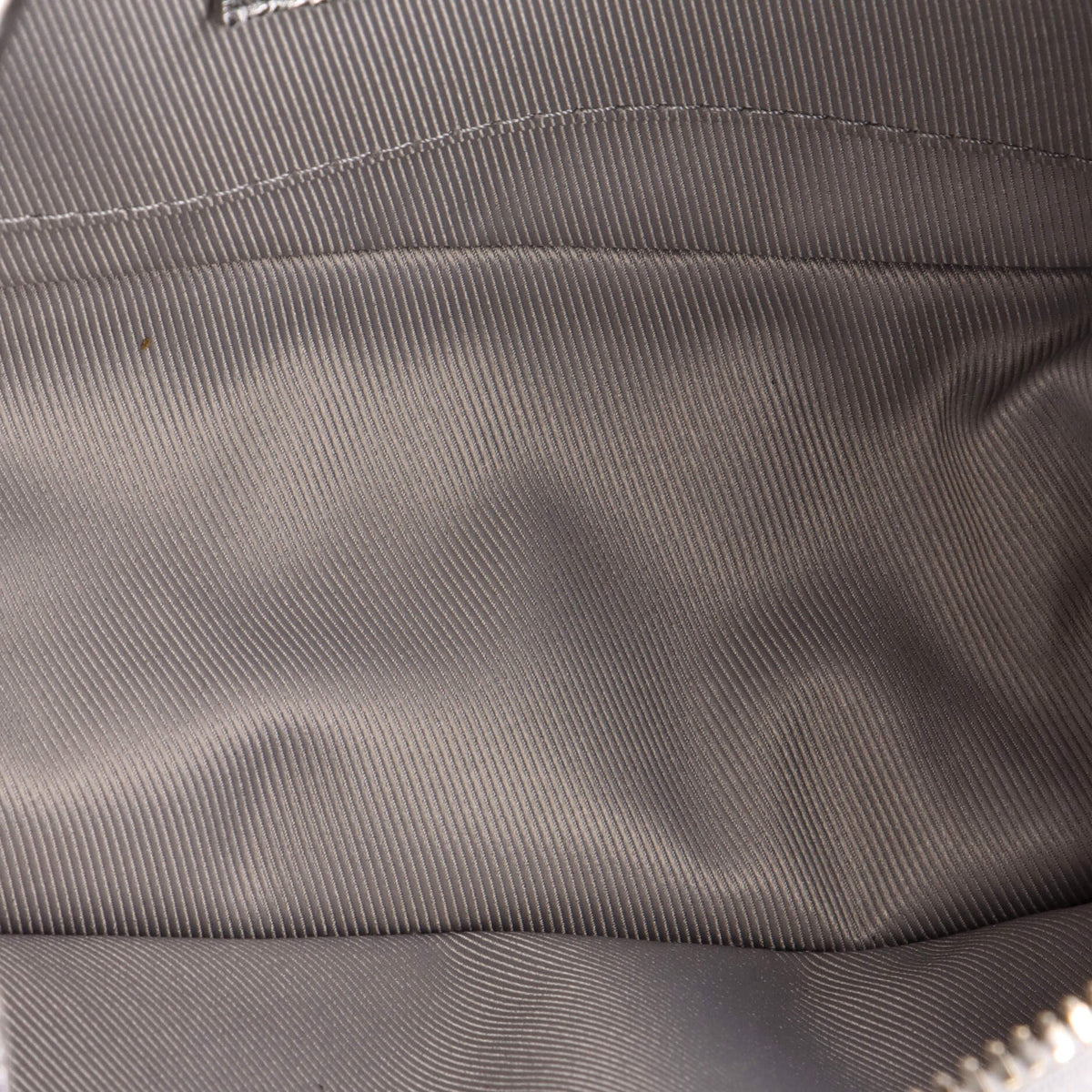 Soft Trunk Bag Crushed Metallic Calfskin Leather Mini