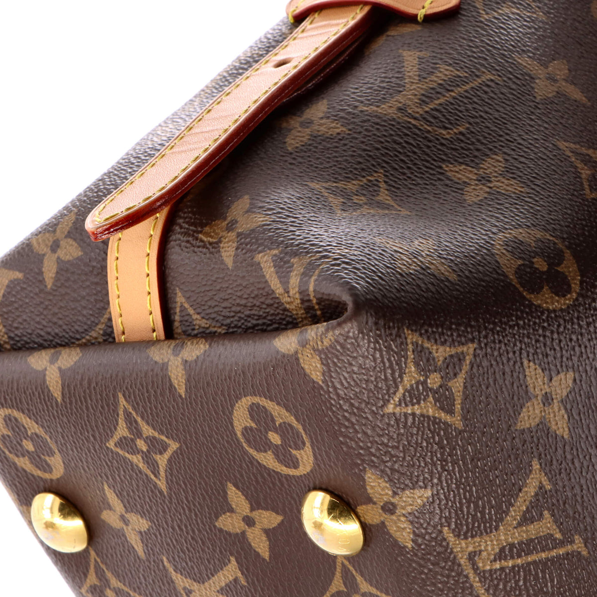 CarryAll Hobo Monogram Canvas PM