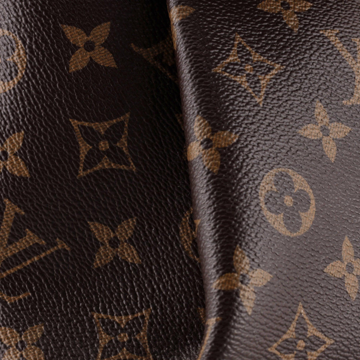 Rivoli Handbag Monogram Canvas PM