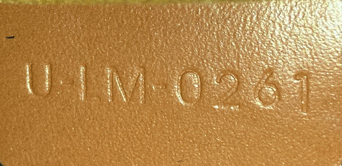 Ava Bag Triomphe Coated Canvas