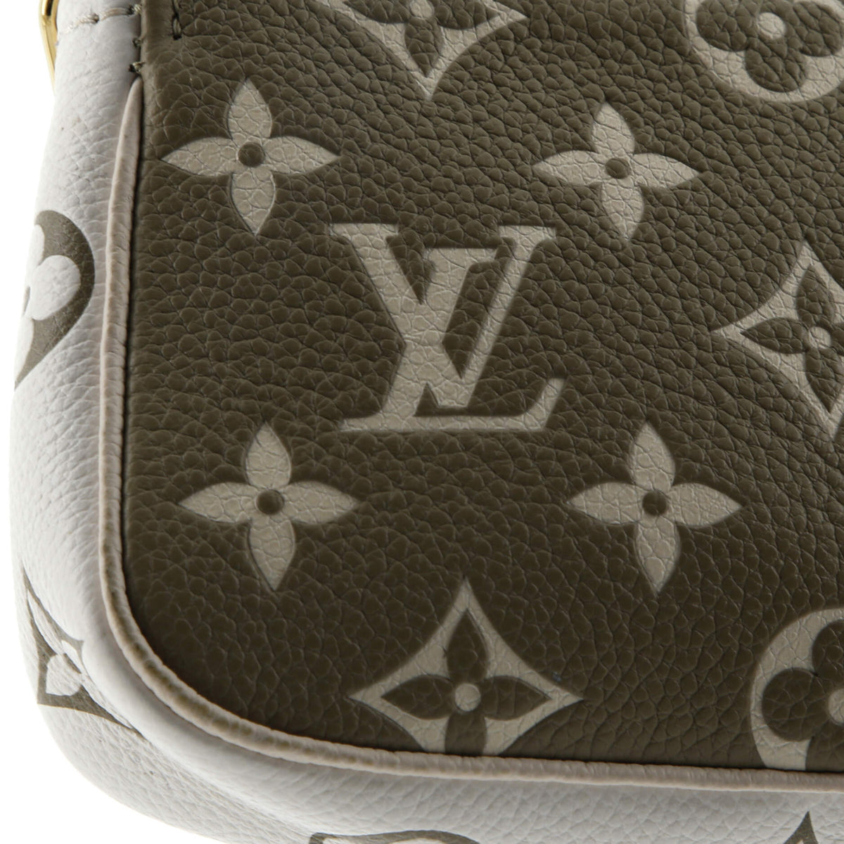 Pochette Accessoires Spring in the City Monogram Empreinte Leather Mini