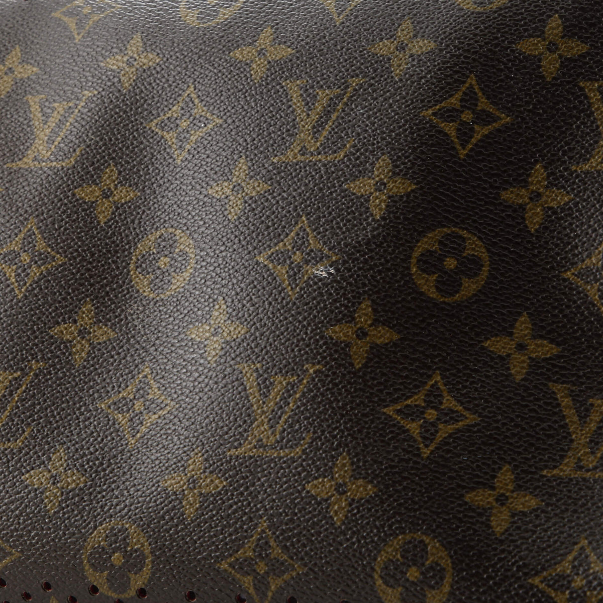 Speedy Handbag Perforated Monogram Canvas 30