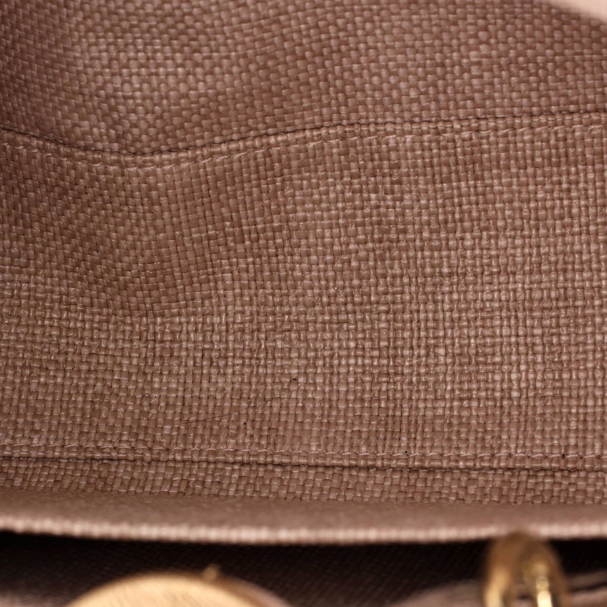 Lady D-Lite Bag Cannage Embroidered Raffia Medium