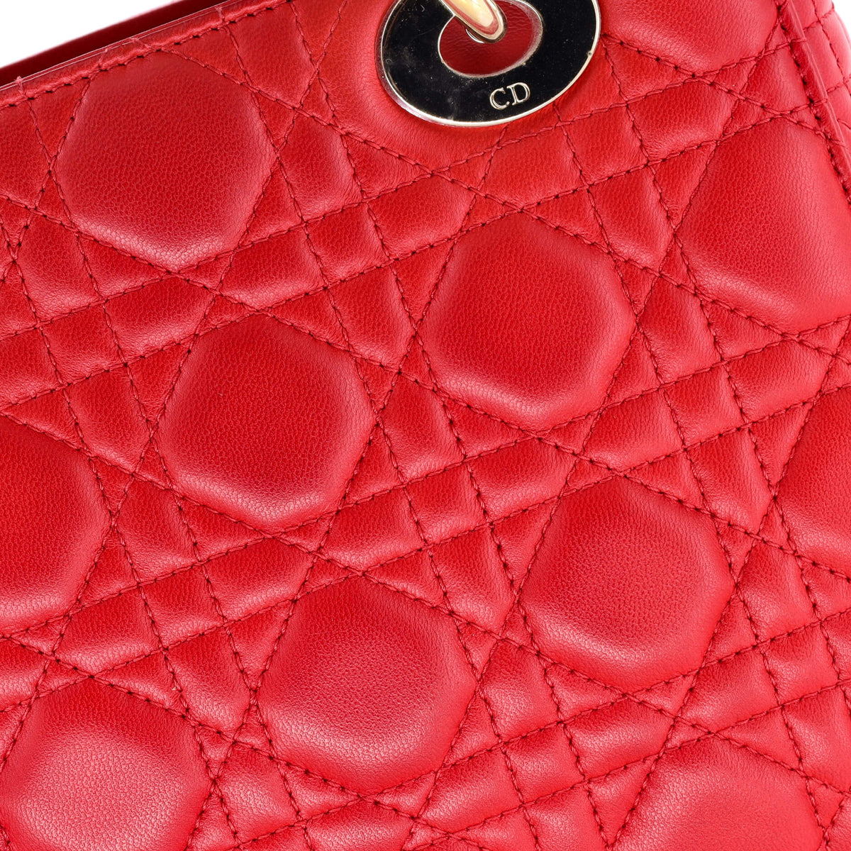 My Lady Dior Bag Cannage Quilt Lambskin