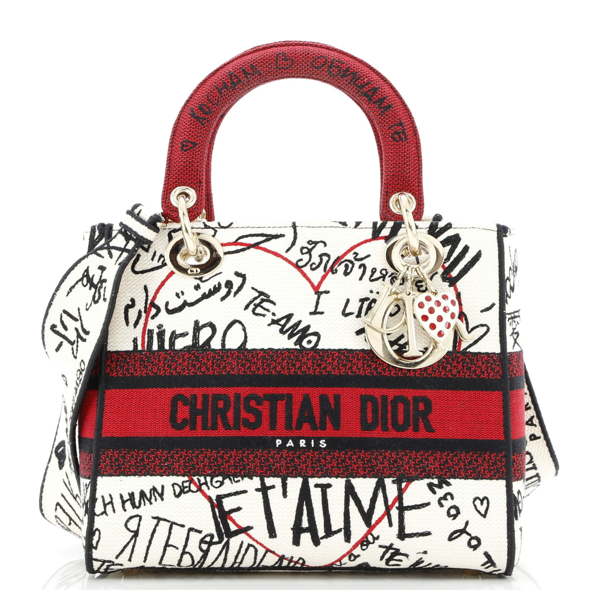 Lady D-Lite Bag Embroidered Canvas Medium