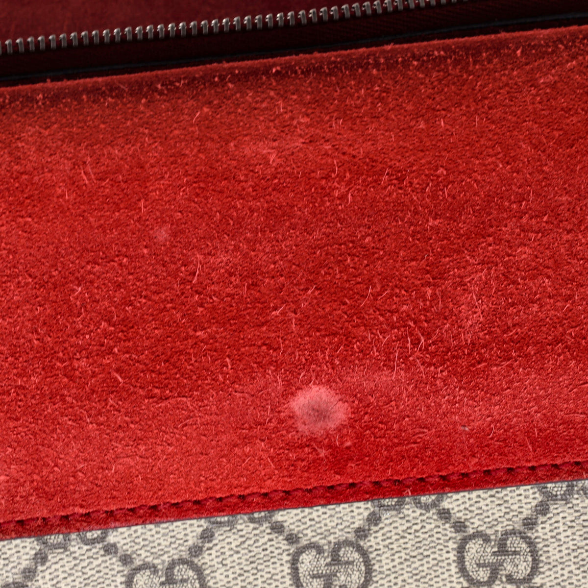 Dionysus Bag GG Coated Canvas Small