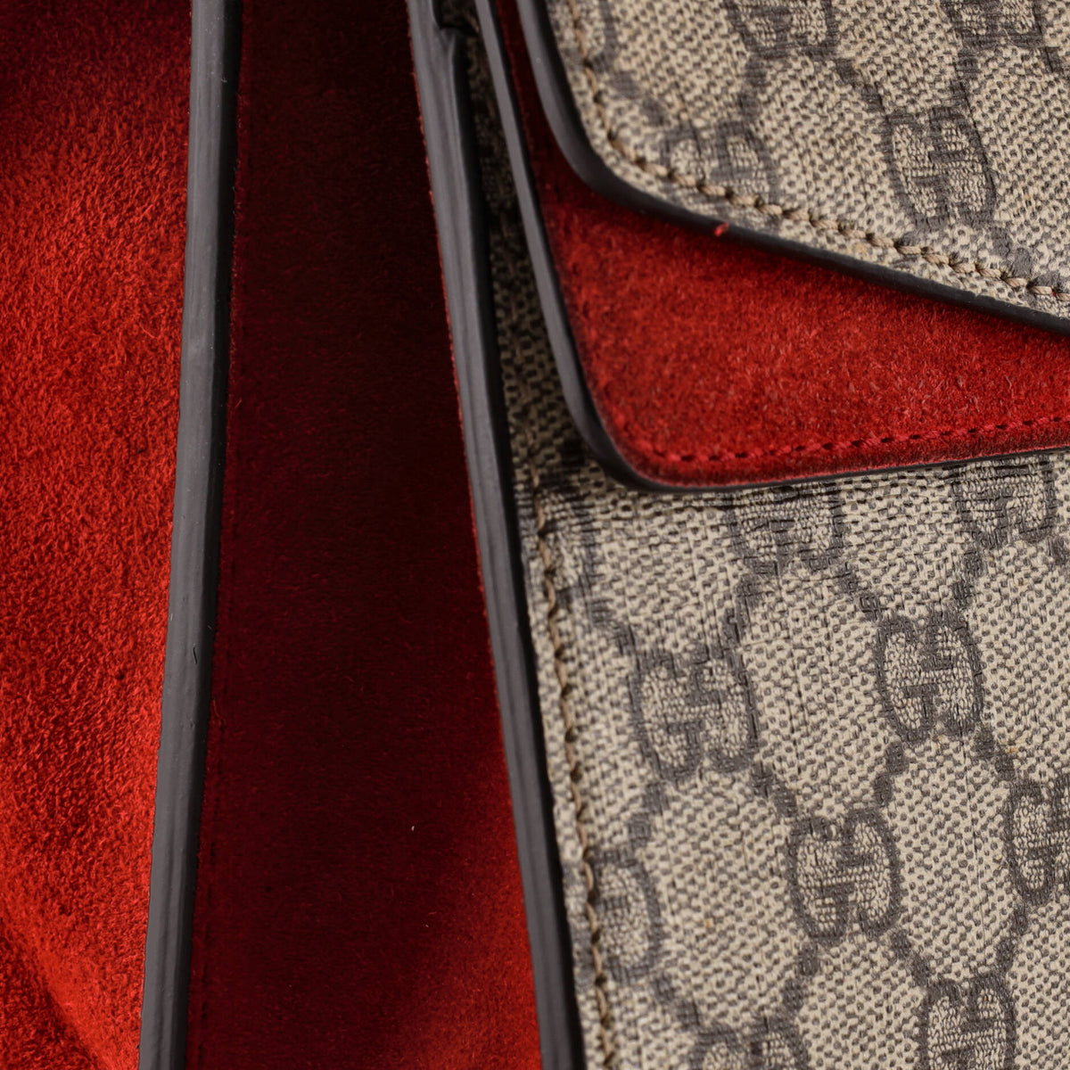 Dionysus Bag GG Coated Canvas Medium