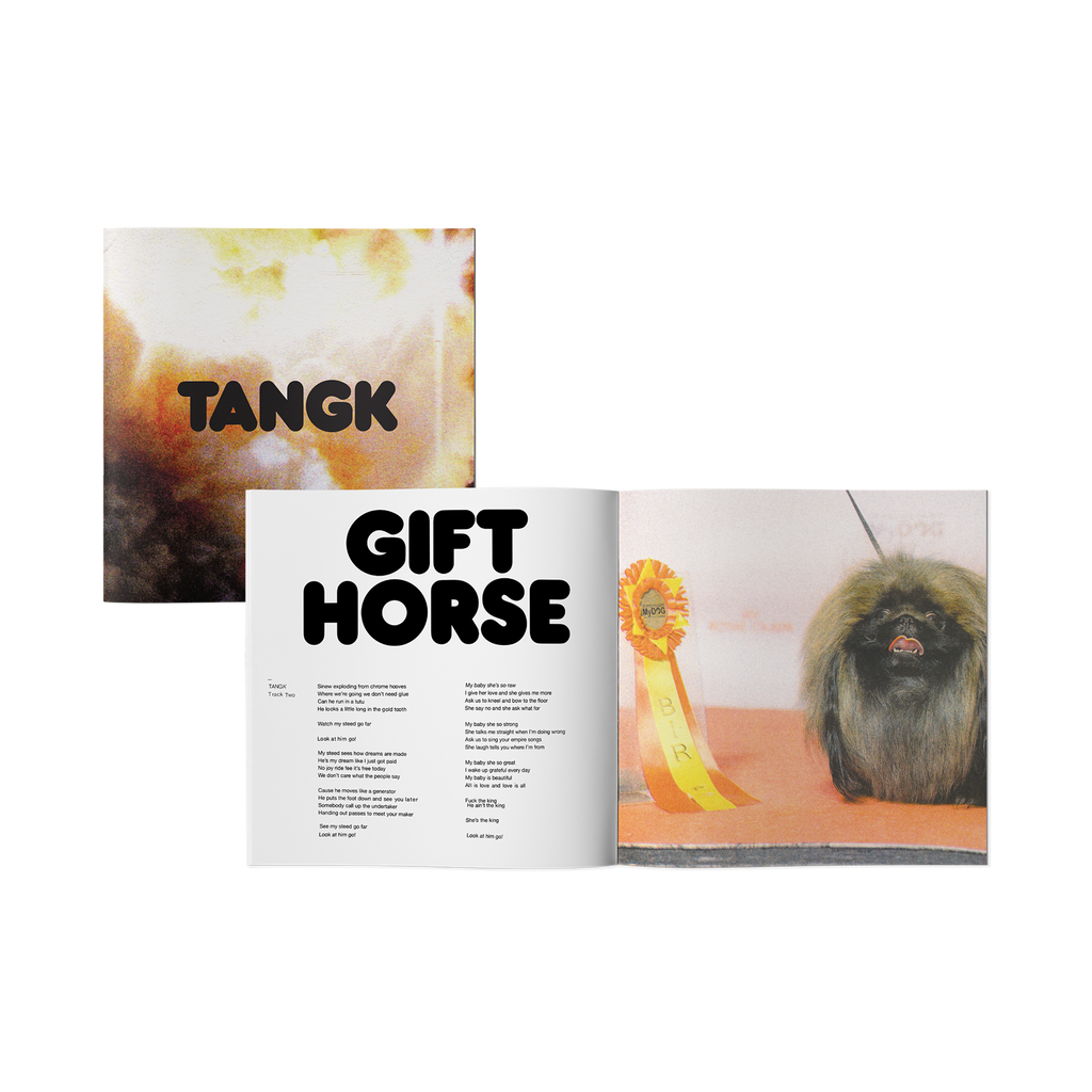 IDLES - TANGK