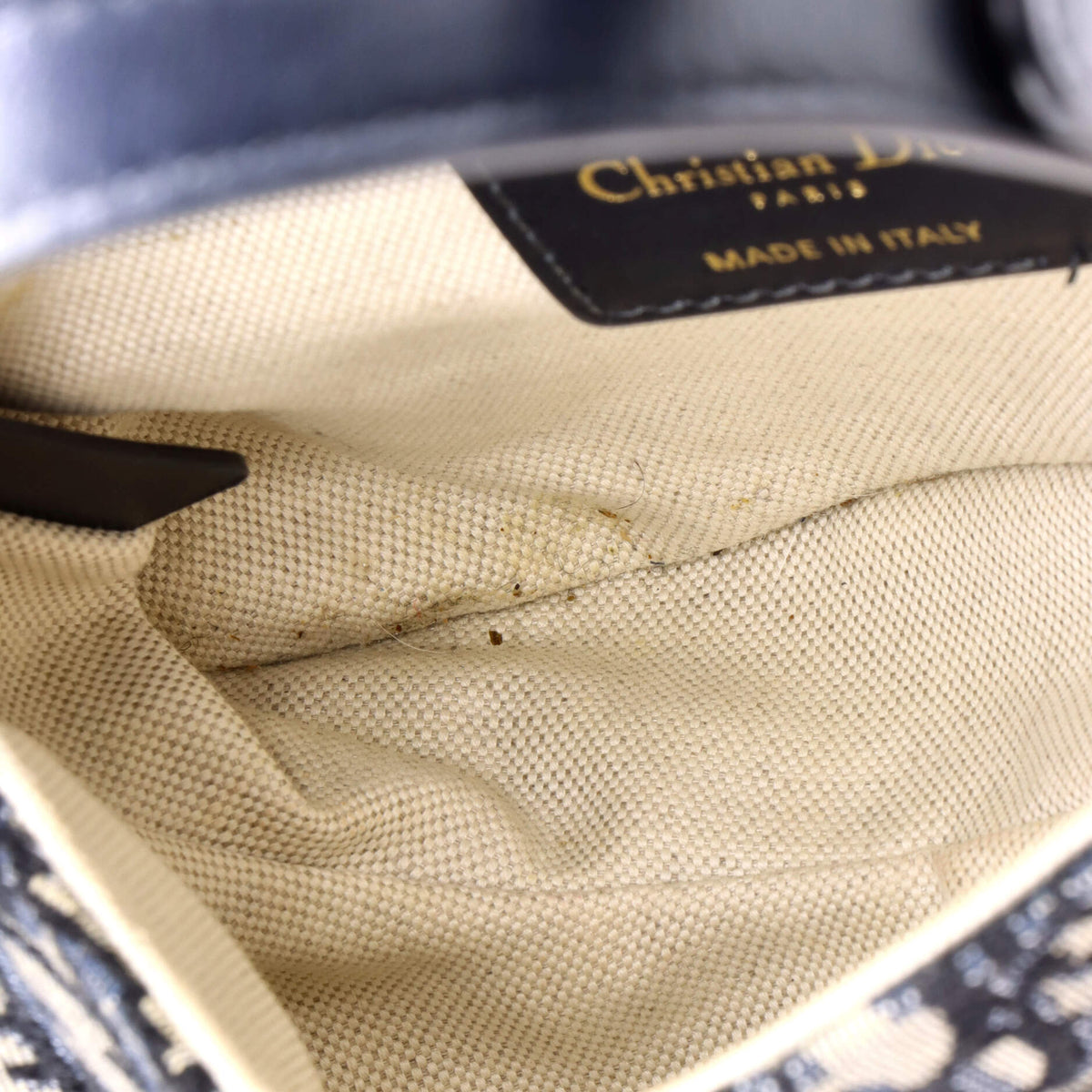 Saddle Handbag Oblique Canvas Mini